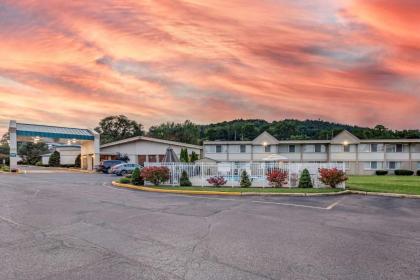 Quality Inn & Suites Vestal Binghamton near University - image 8