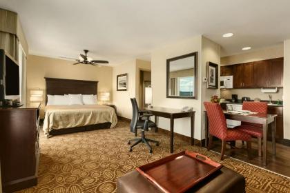 Homewood Suites by Hilton Binghamton/Vestal - image 10