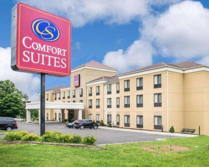 Comfort Suites Vestal near University