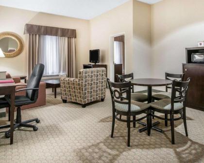 Comfort Suites Vestal near University - image 14