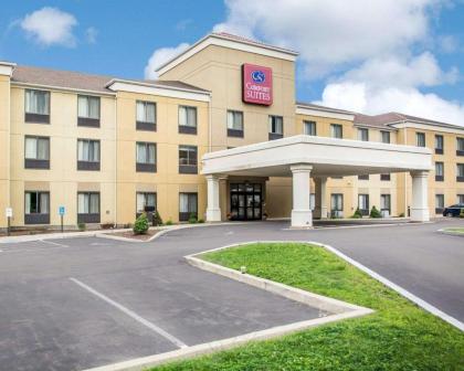 Comfort Suites Vestal near University - image 2