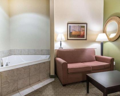 Comfort Suites Vestal near University - image 3