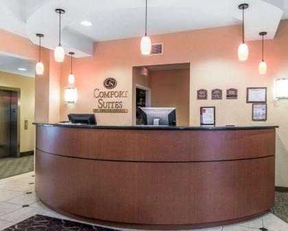 Comfort Suites Vestal near University - image 5