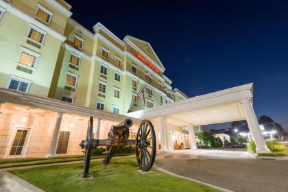 Hampton Inn & Suites - Vicksburg - image 6