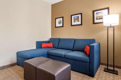 Comfort Suites Vicksburg - image 15