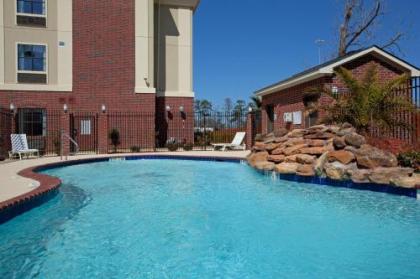 Holiday Inn Express Hotel & Suites Vidor South an IHG Hotel - image 8