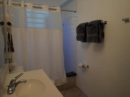 The Vieques Guesthouse - image 10