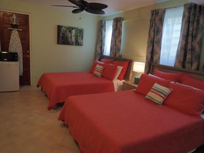 The Vieques Guesthouse - image 13