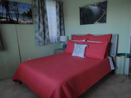 The Vieques Guesthouse - image 3