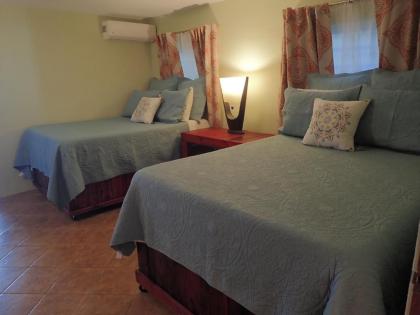 The Vieques Guesthouse - image 8