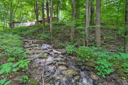 Vilas Creekside Treetop Cabin with Views! - image 7