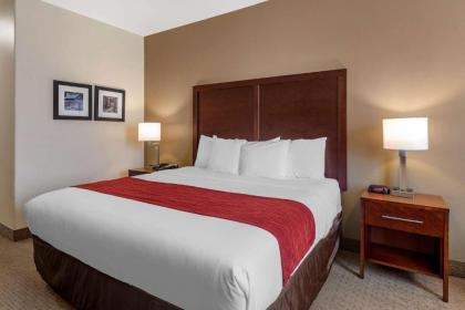 Comfort Inn & Suites Villa Rica - image 13