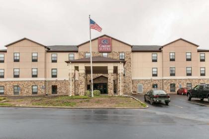 Comfort Suites - Vincennes - image 10