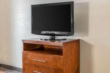 Comfort Suites - Vincennes - image 5