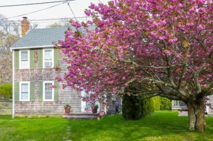 Island Sanctuary Massachusetts