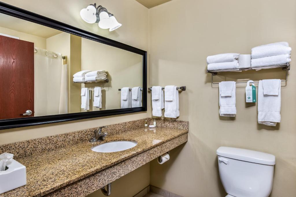 Cobblestone Inn & Suites - Vinton IA - image 3