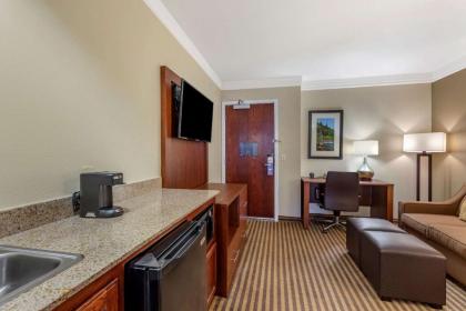 Comfort Suites Visalia Convention Center - image 12