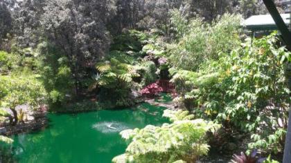 Chalet Kilauea - image 1