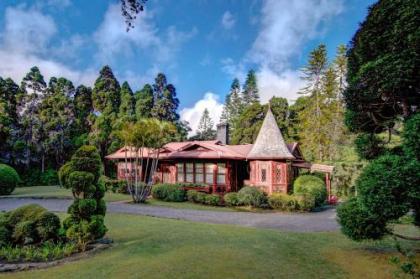 Bed and Breakfast in Volcano Hawaii