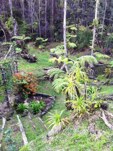 Ixchel Hawaii Volcano - image 2