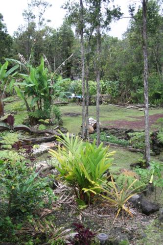 Ixchel Hawaii Volcano - image 4