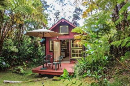 Ferny Hollow: Romantic Rainforest Cottage