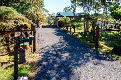 'Fern Cottage' Island Escape with Rainforest View! - image 2