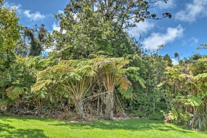 Serene 'Halakea Hale' Cottage by Volcano NTL Park! - image 10