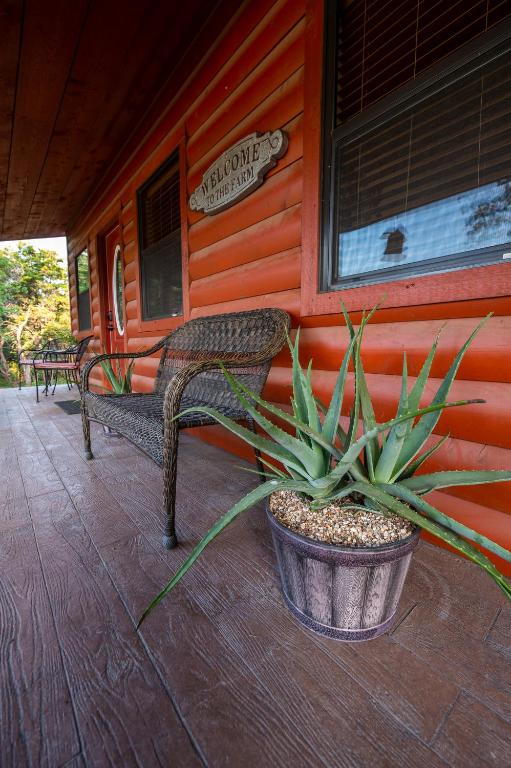 Pet Friendly Cabin 4 - 15 minutes from Magnolia and Baylor - image 4