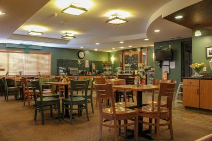 AmeriVu Inn and Suites - Waconia - image 15