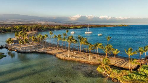 Shores at Waikoloa 234 at Bo Tree Tower - image 3