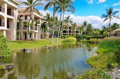 Shores at Waikoloa 234 at Bo Tree Tower - image 4