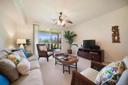 Holiday homes in Waikoloa Hawaii