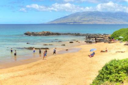 Maui Parkshore 116 - image 3