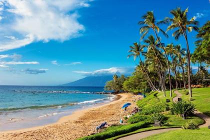 Wailea Elua #2101 by Ali'i Resorts - image 3