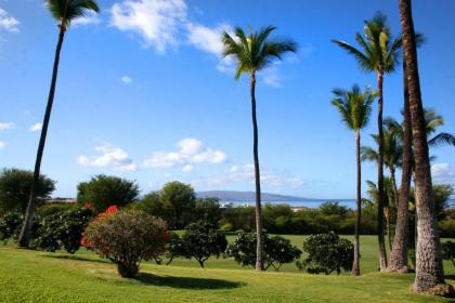 Wailea Ekolu #914 by Ali'i Resorts - image 5