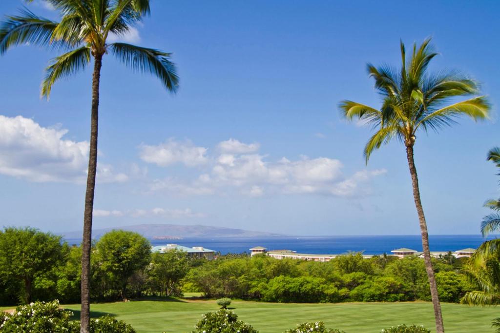 Wailea Ekolu #312 by Ali'i Resorts - image 7