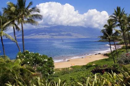 Makena Surf Resort #C-102 by Ali'i Resorts - image 10