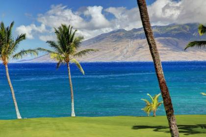 Kihei Surfside #311 by Ali'i Resorts - image 3