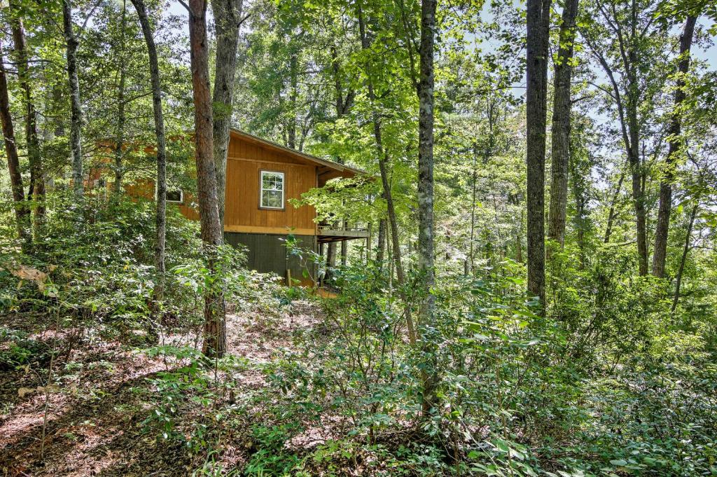 Lakefront Mountain Rest Cottage with Gas Fireplace! - image 5