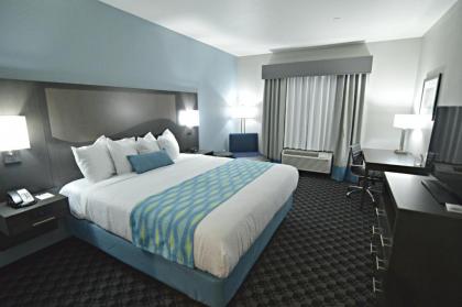 Best Western Plus Waller Hotel - image 14