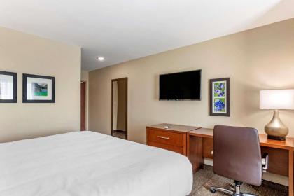 Comfort Inn & Suites - image 7