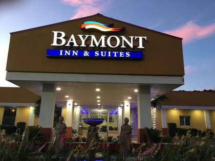 Baymont by Wyndham Walterboro - image 2