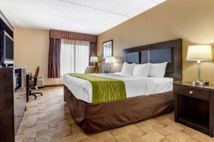 Comfort Inn Warner Robins - Robins AFB - image 3