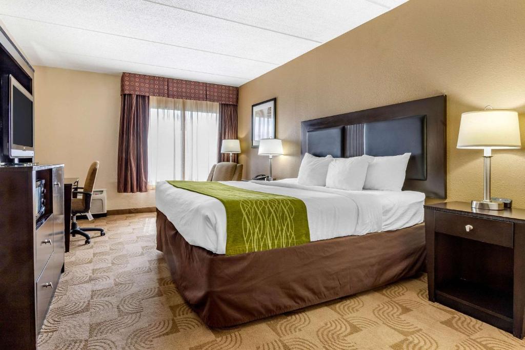 Comfort Inn Warner Robins - Robins AFB - image 3