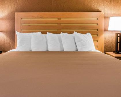 Quality Inn & Suites Warren - Detroit - image 3