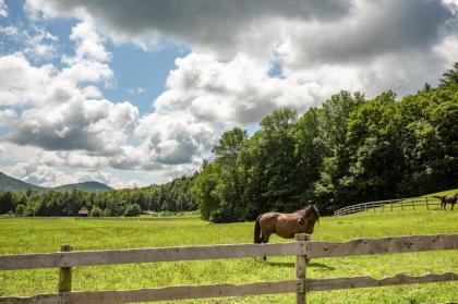 Tentrr - Pucker Ridge Farm - image 7