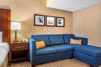 Comfort Inn Meadowlands - image 11