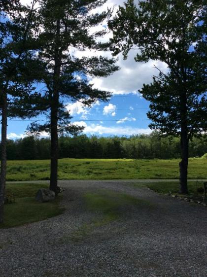 Blueberry Fields Bed & Breakfast - image 11