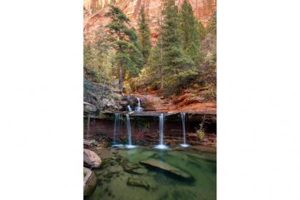 Zion Sunrise - image 11